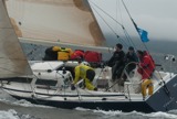 tanit gbr731t mon ss09 gjc 7993